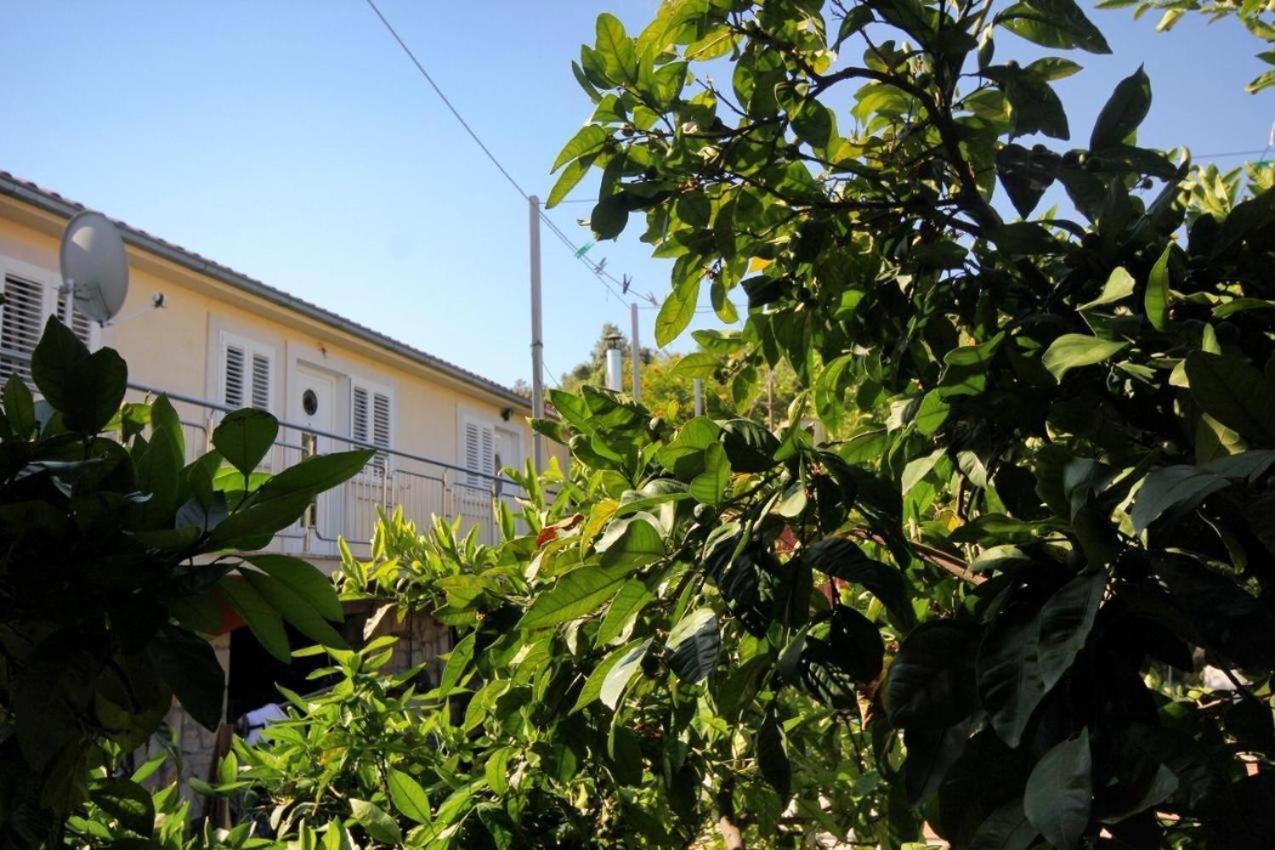 Guesthouse Gradina Ловиште Экстерьер фото